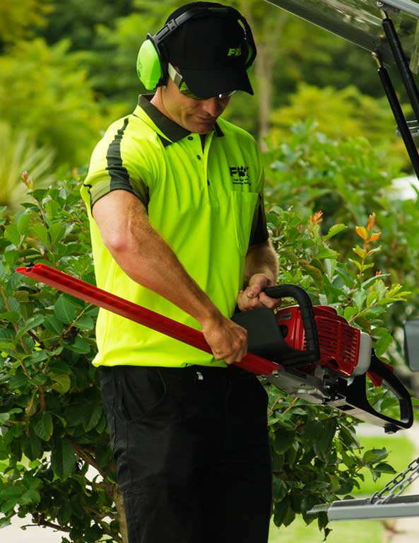 Lawn mowing and gardening services in Ainslie by Fox Mowing