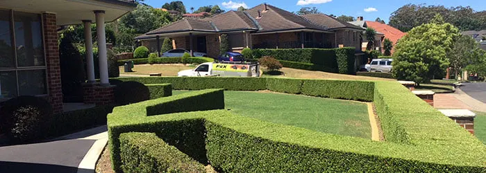 Consultation-and-Planning