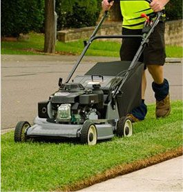 Lawn care services in ACT