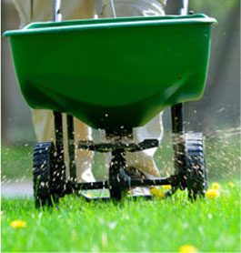 Lawn And Garden Fertilising in ACT