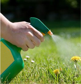 Lawn And Garden Weed Spraying in ACT