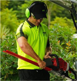 Hedging and Topiary in ACT