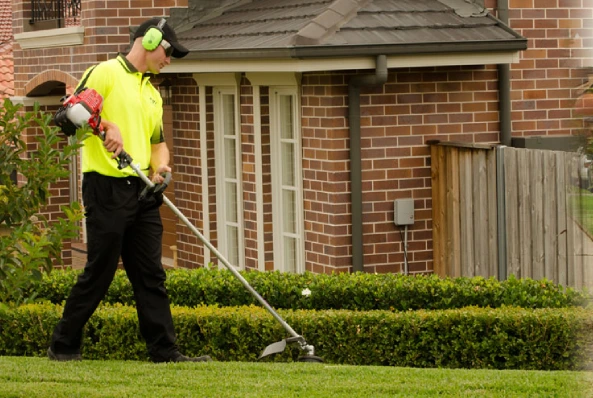 Why Choose Fox Mowing ACT