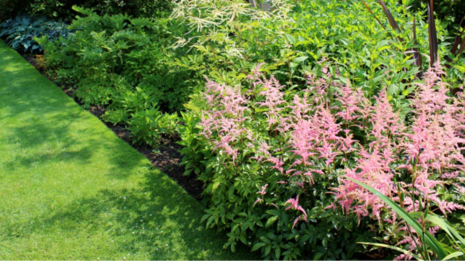 Benefits, Types, and Tips