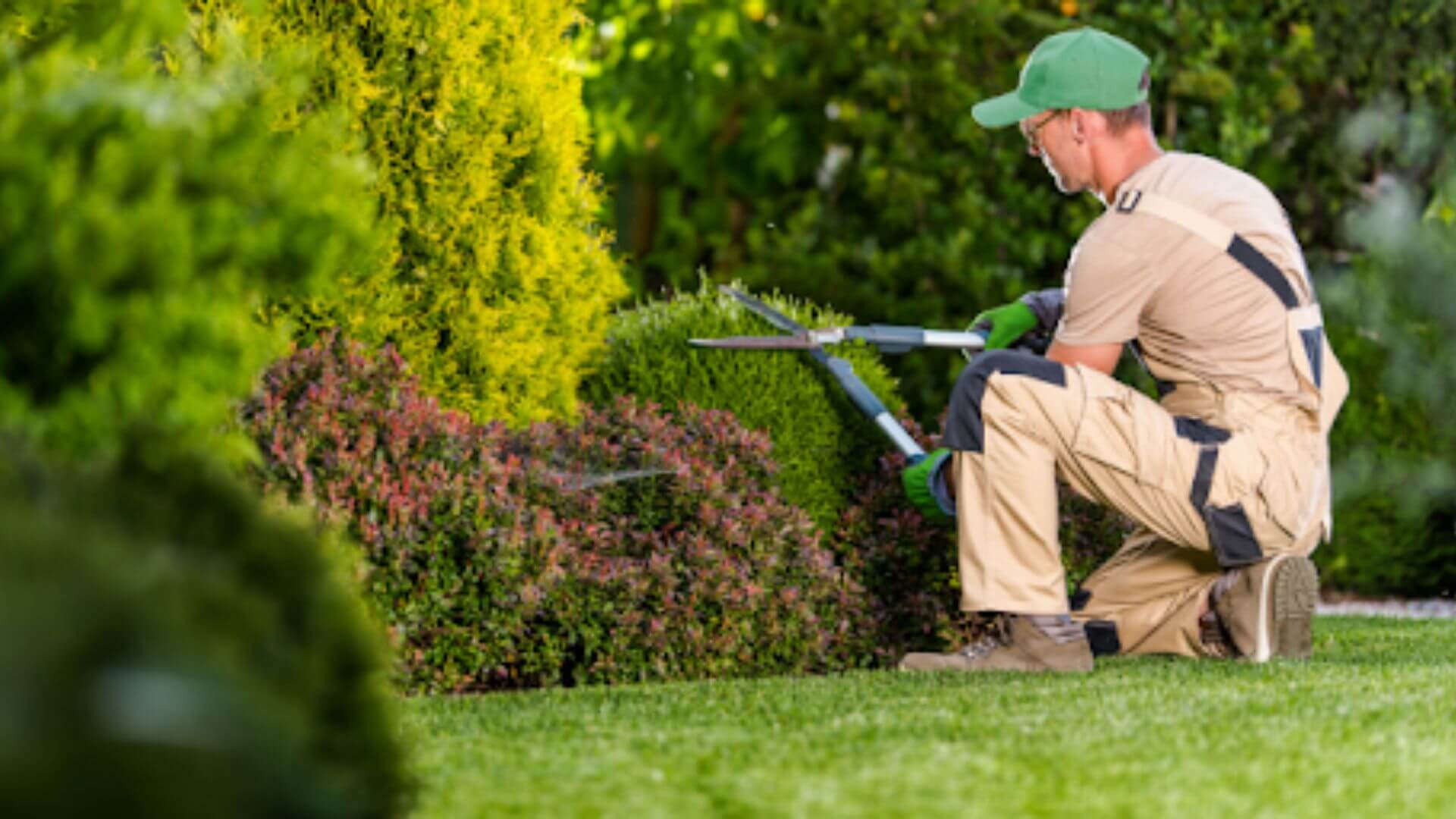 Low-Maintenance Garden