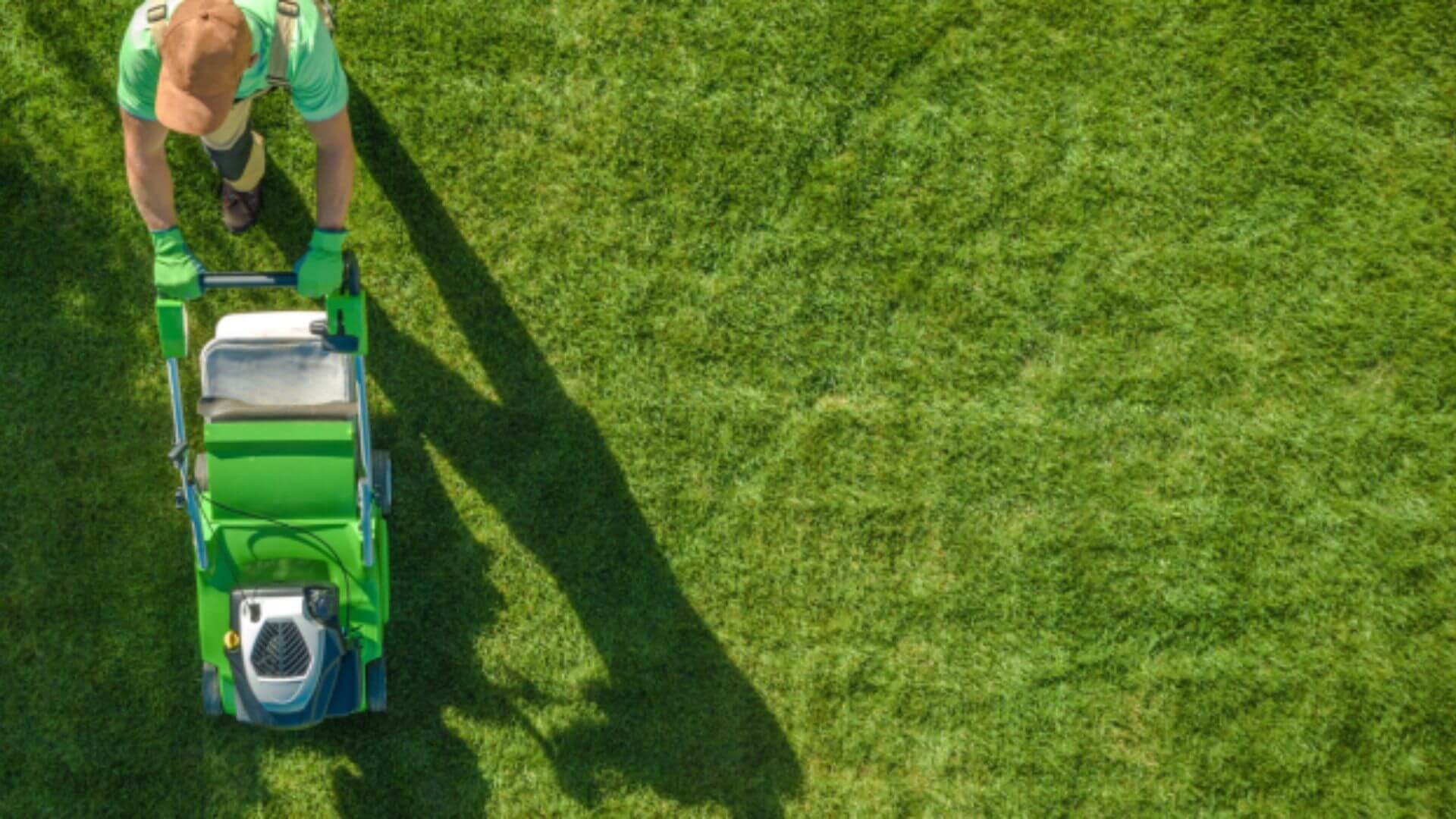 Healthier, Greener Lawn