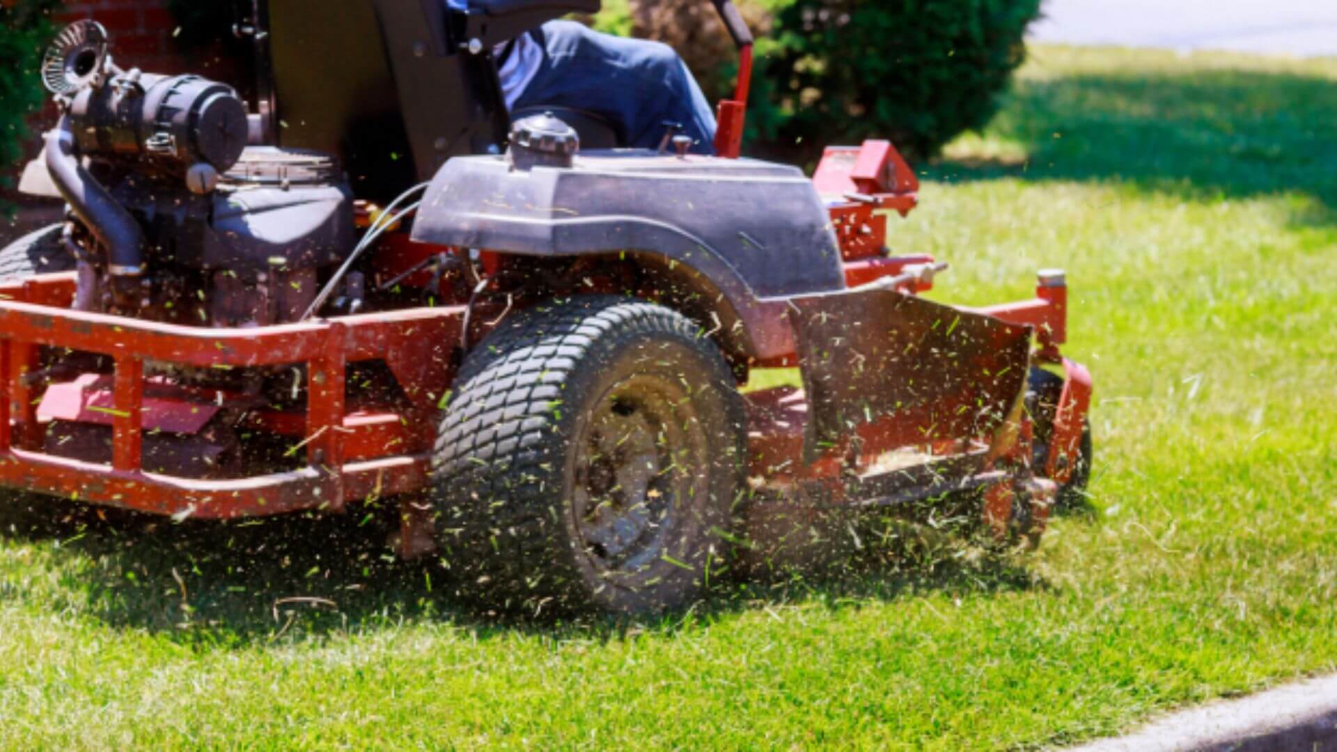 Maintenance and Aesthetics