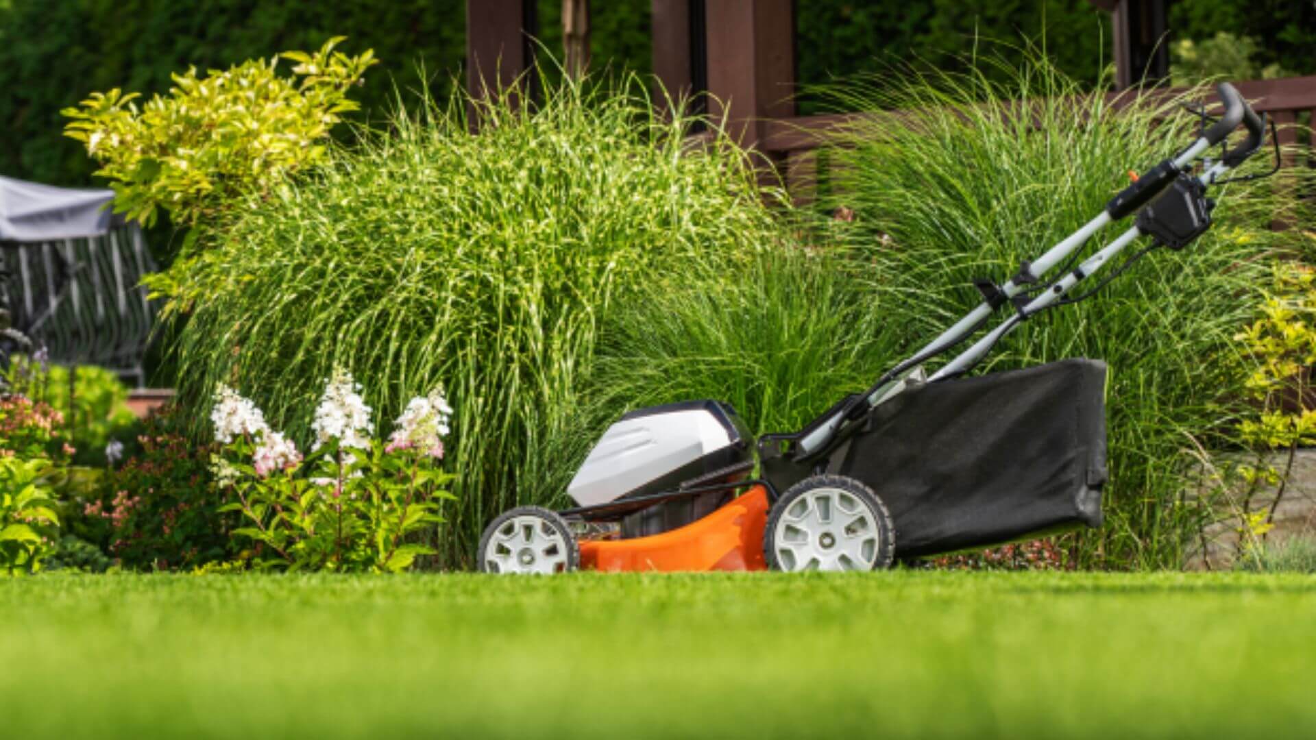 Healthier, Greener Lawn