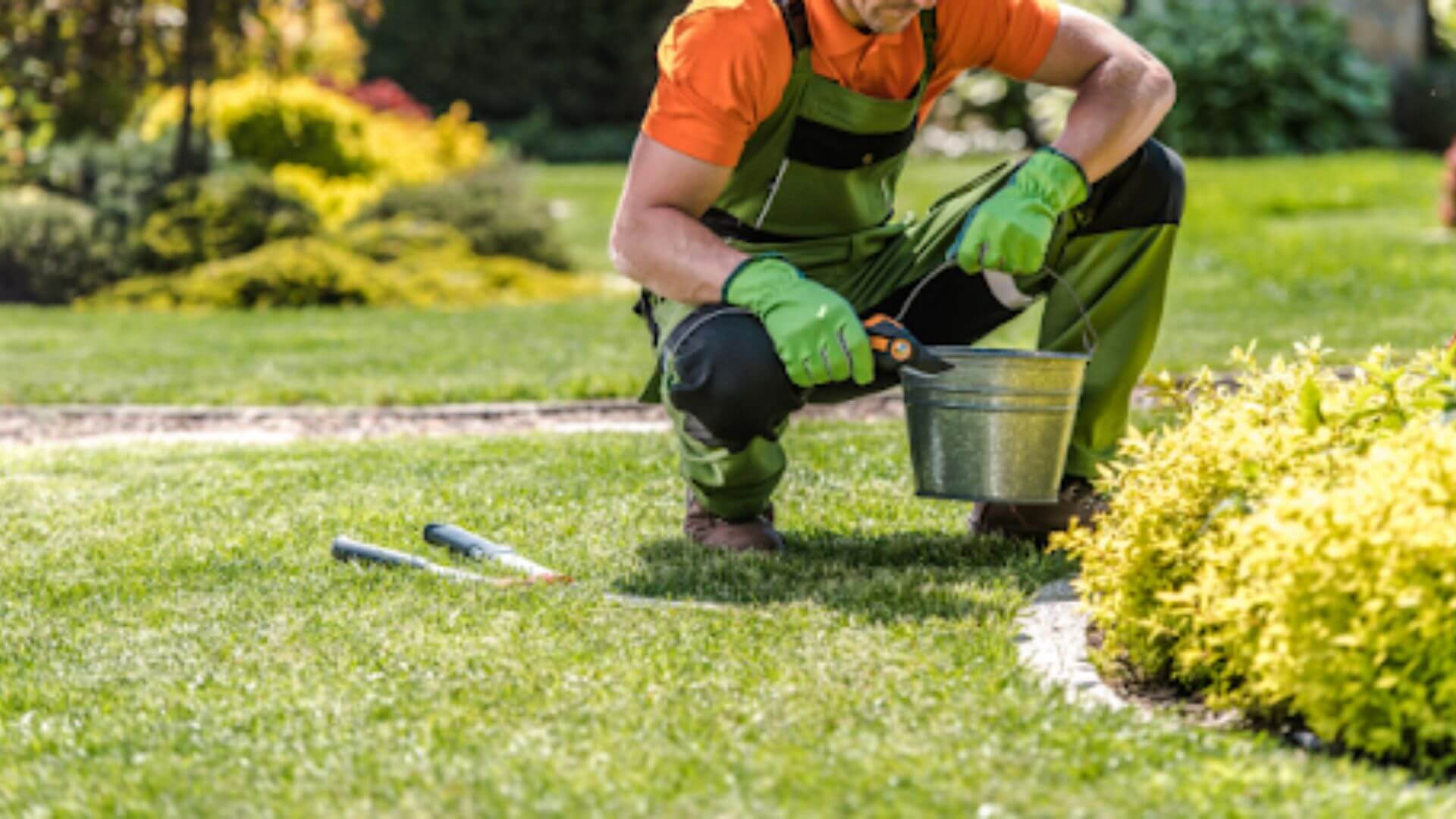 Low-Maintenance Garden