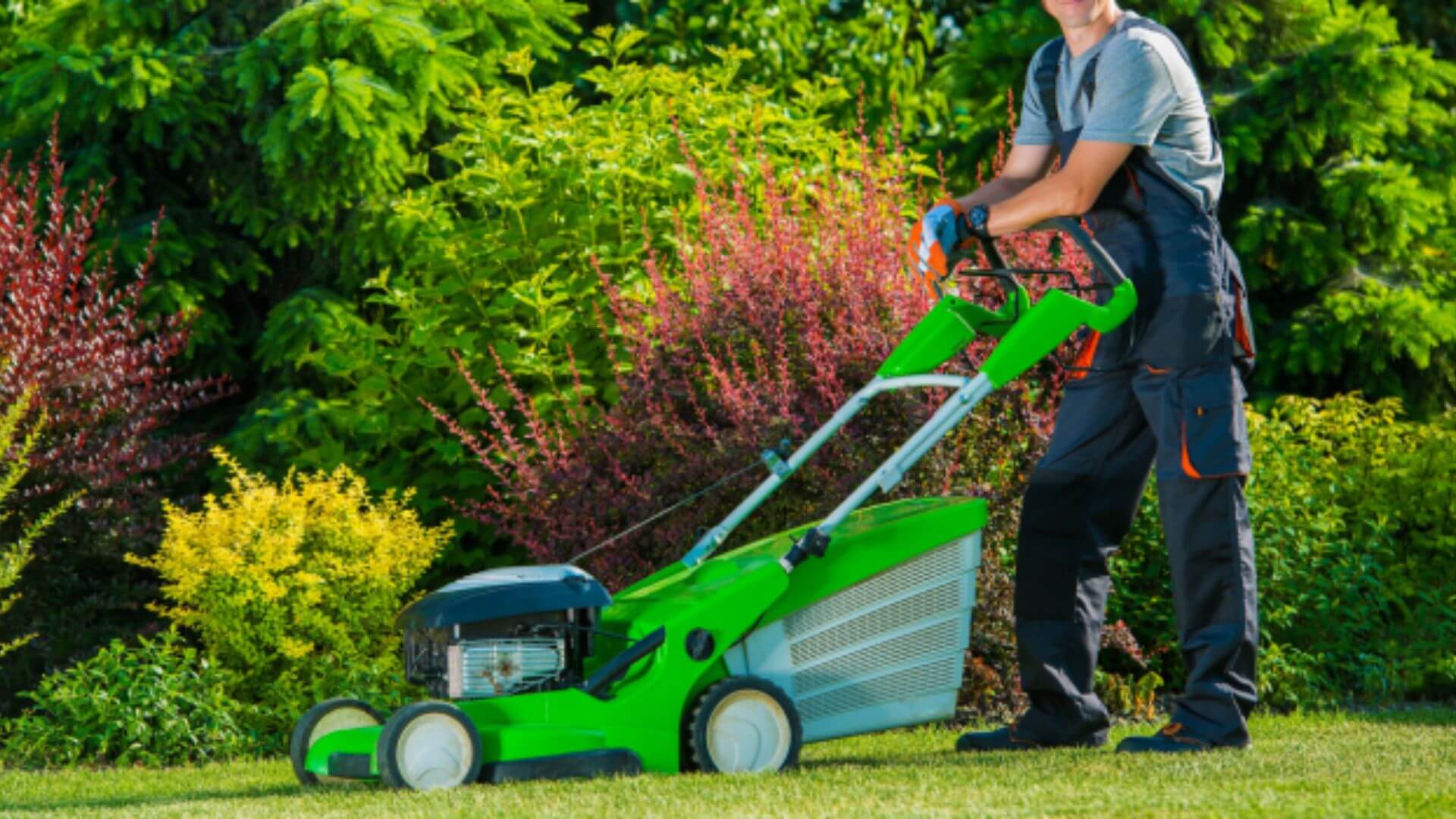 Healthier, Greener Lawn