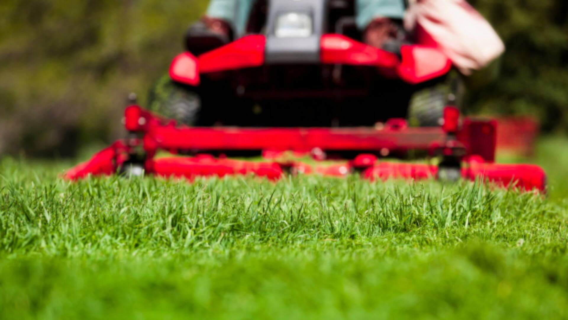 Maintenance and Aesthetics