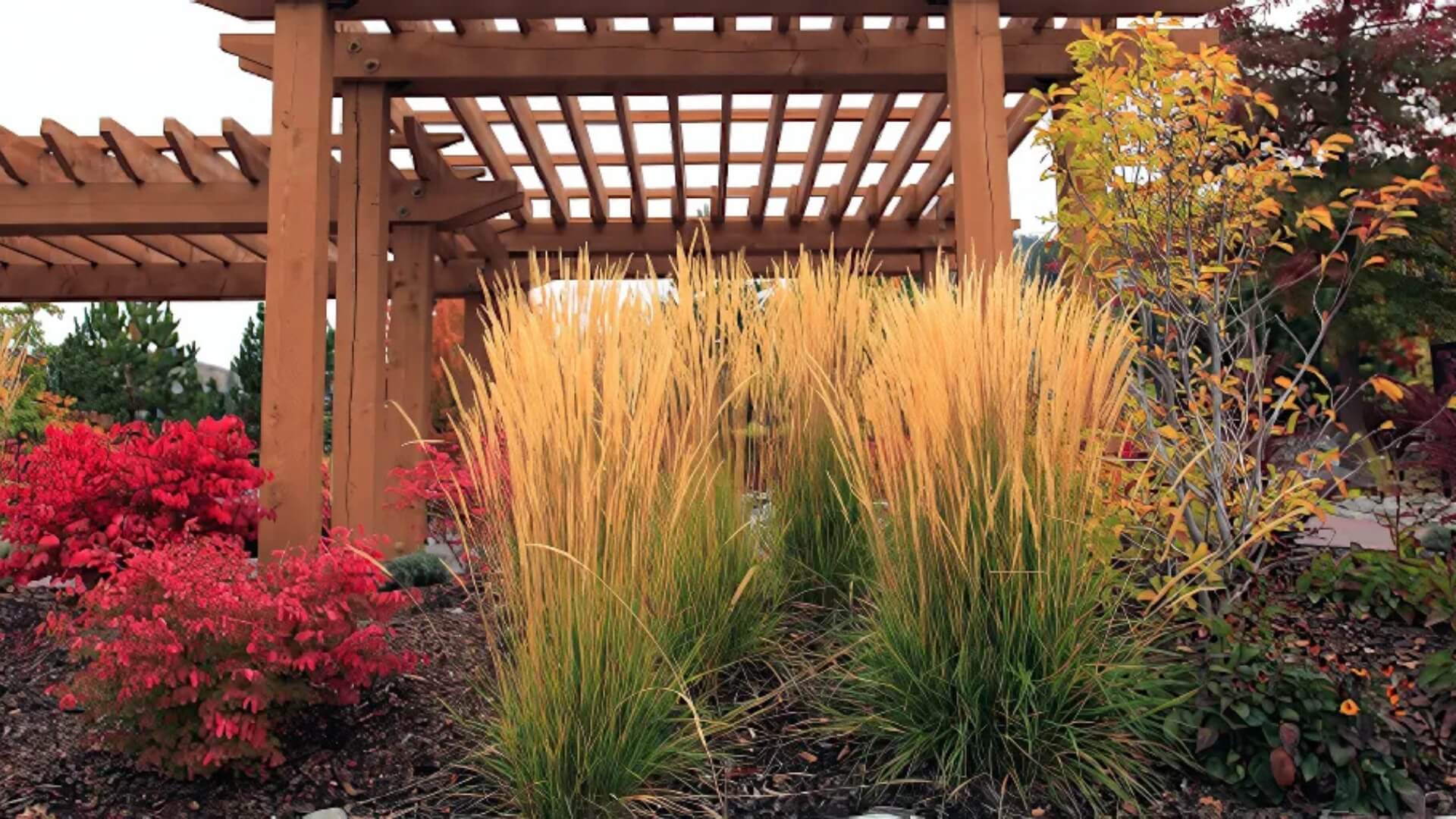 Top Dressing Services