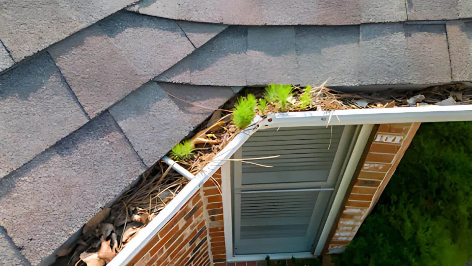 Gutter