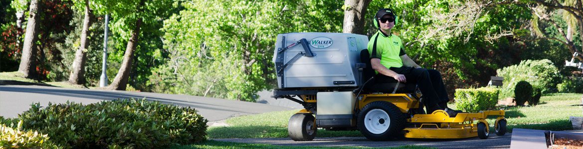 Fox Mowing ACT Ride-on Lawn Mowing And Slashing Services