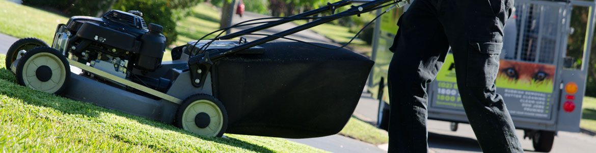 Fox Mowing ACT Lawn Mowing Services