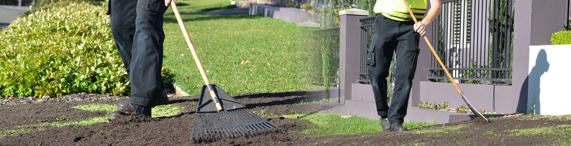 Fox Mowing ACT New Turf Laying Services